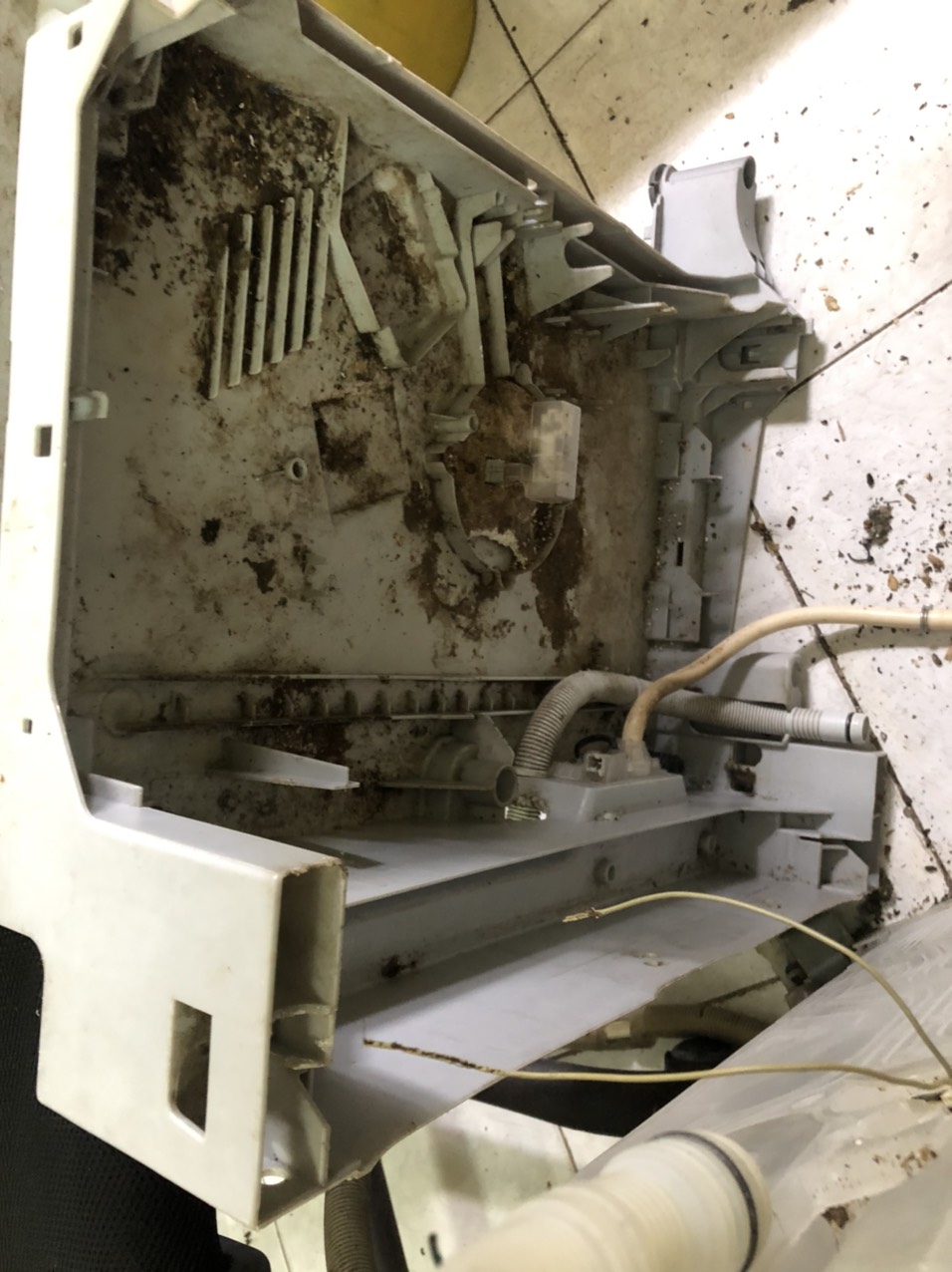 may rua bat B1 1 - Sửa máy rửa bát Bosch lỗi E tại nhà uy tín