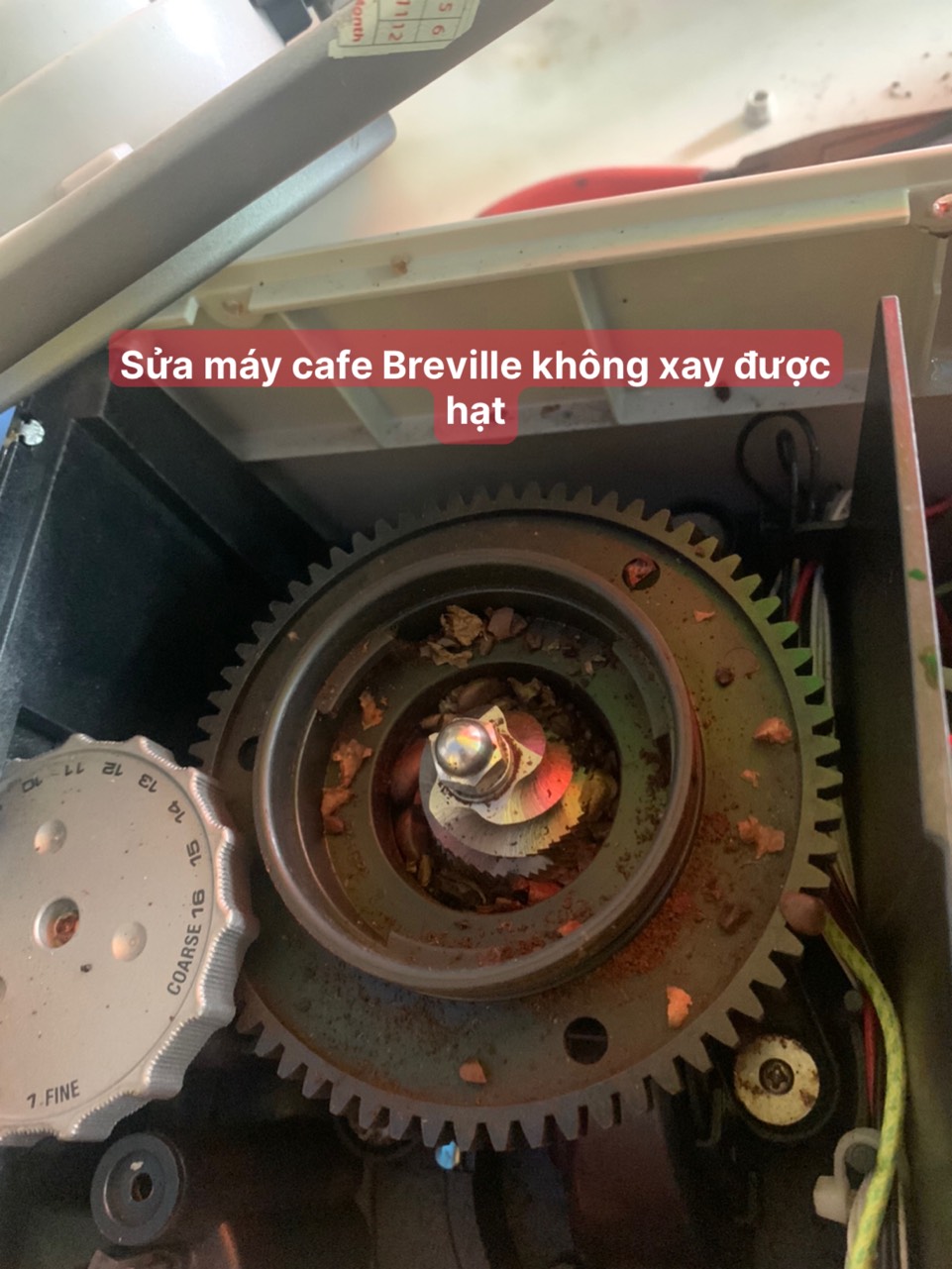 z4407193289582 3411651b710014699ce341e3a6c1072b - Sửa máy cafe Breville không xay được tại TP. Hồ Chí Minh